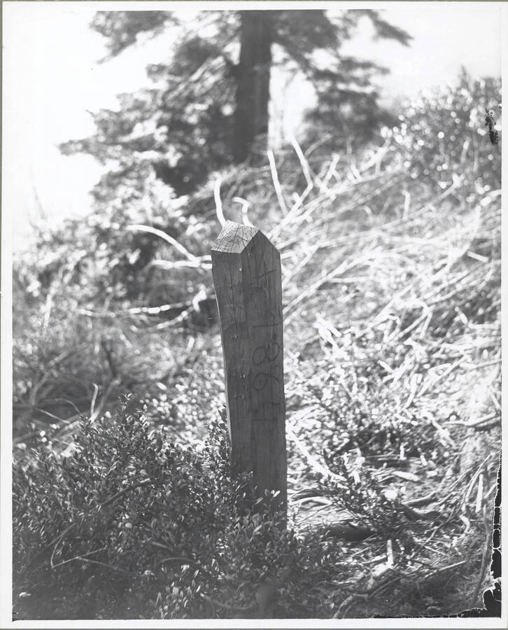 A wooden marker bearing the inscription 1864.