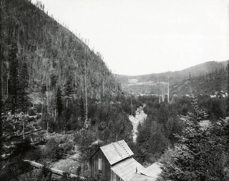 The David placer located at Prichard Creek, looking up the valley over the town of Murray.