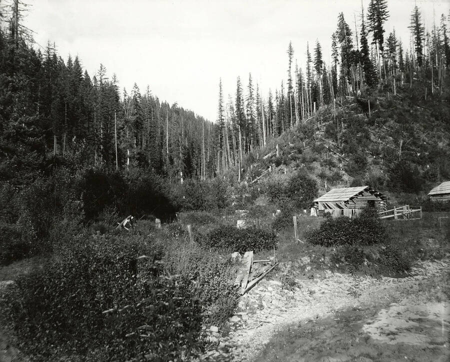 View of McComber Gulch, near North Fork by the Coeur d'Alene Mining District.