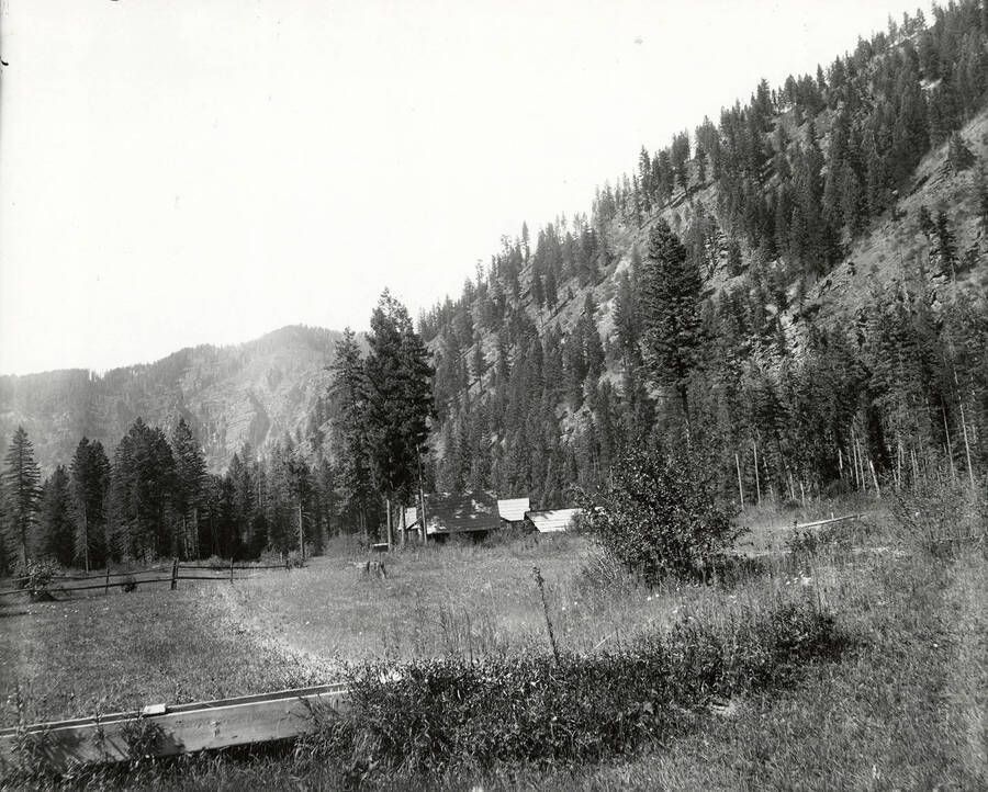 View of Pedro's ranch placer claims, near North Fork by the Coeur d'Alene Mining District.