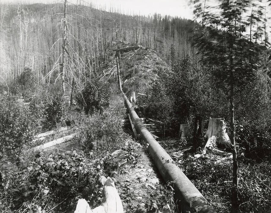 The pipeline ravine to Penstock, located on the north side of the Coeur d'Alene Mining District.