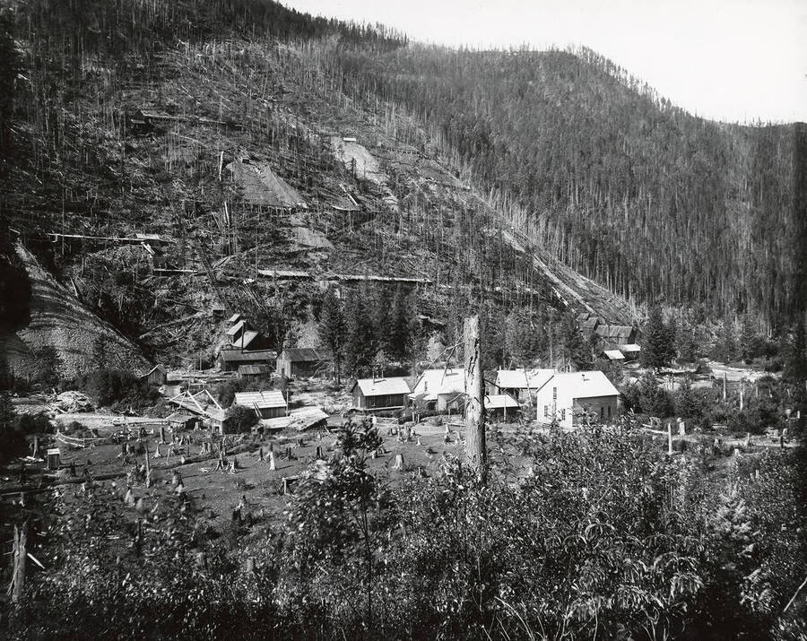 View of Daddyville, which is located on the north side of the Coeur d'Alene Mining District, in the Murray area. Buildings can be seen at the bottom of the hill.