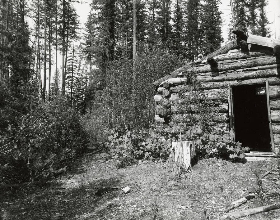 View of the McCrea Cabin, looking toward Daisy Gulch and located on the north side of the Coeur d'Alene Mining District.