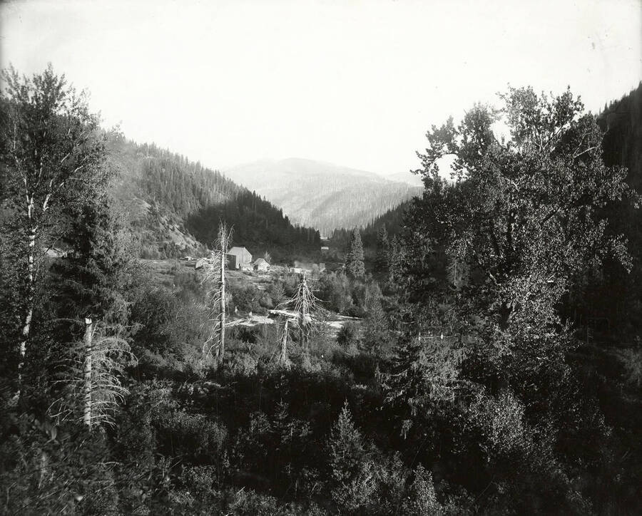 The discovery of Matheny and Johnson's placer, near North Fork by the Coeur d'Alene Mining District. This shows the town of Eagle up Prichard Creek