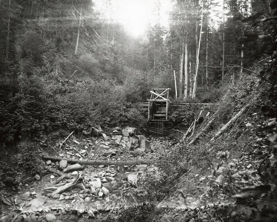 View of the Oregon Gulch, which is located on the north side of the Coeur d'Alene Mining District. A small structure can be seen constructed within the trees.