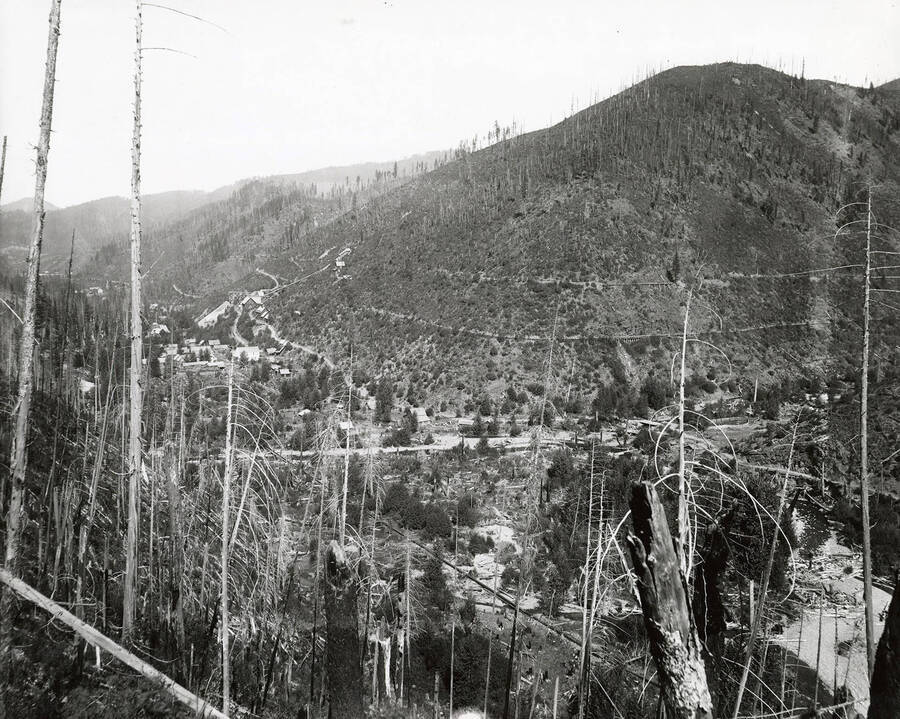 View of the Littlefield placer at the mouth of Butte Gulch, which is located on the north side of the Coeur d'Alene Mining District.