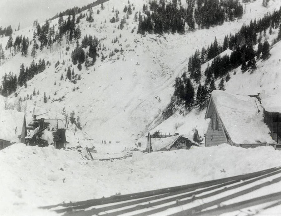 The snow slide that happened near Burke, Idaho on the Wallace side. A few houses can be seen covered in snow.