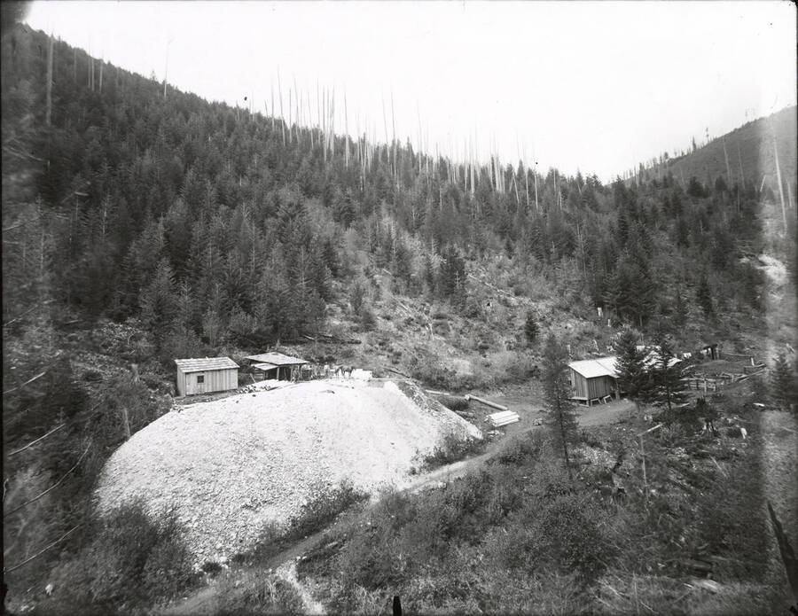 Five men and a horse standing outside of the exit to the Paragon Mine dump next to their log cabin. You can see laundry hanging on the line to dry next to the site.