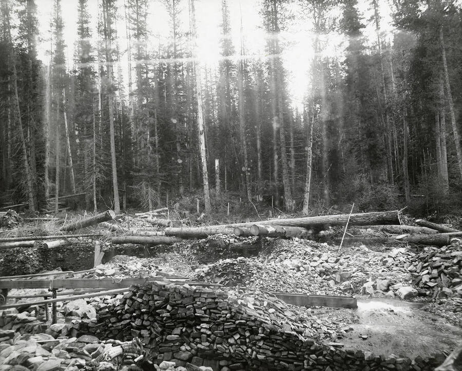 View of the Tributary Gulch, which is located on the north side of the Coeur d'Alene Mining District. Logs can be seen sitting in stacks.