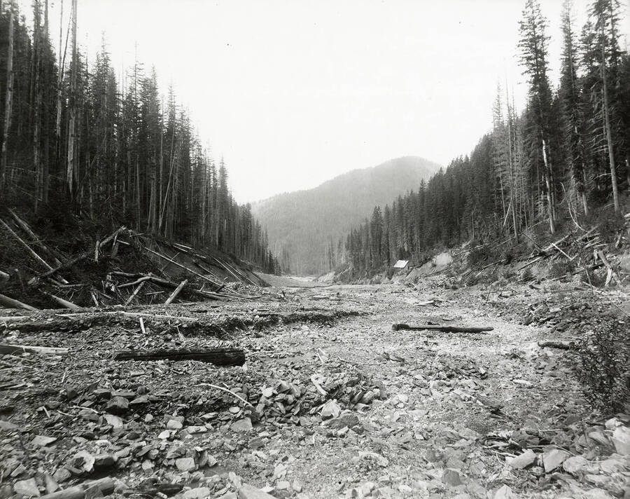 View of Fancy Gulch, which is located on the north side of the Coeur d'Alene Mining District.