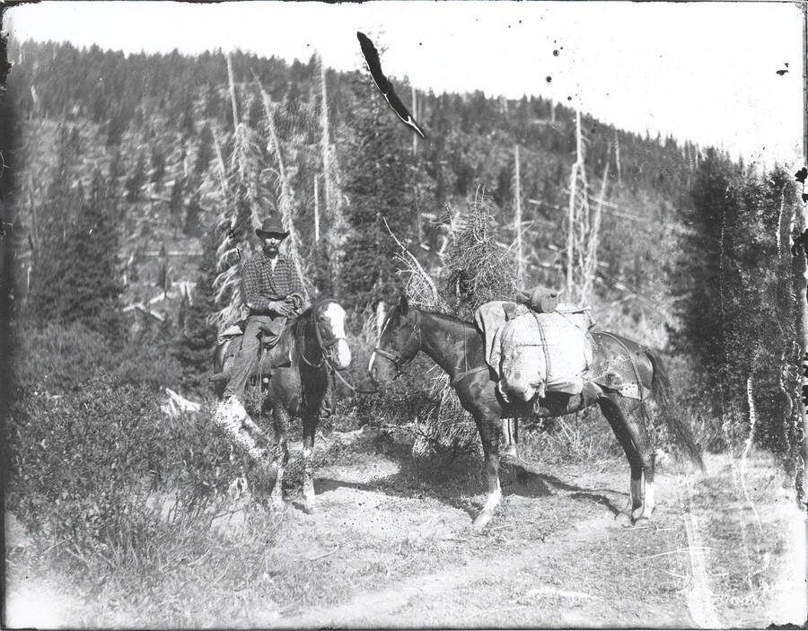 Prospector seated on horse, with pack horse next to him; slight burn in center of negative prior to being printed.