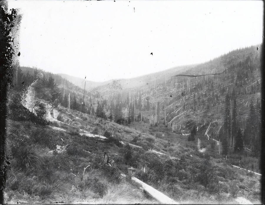 An unidentified creek in an unknown valley. Many felled trees are visible on the hill in the background. The name "R.K. Stevenson" is written on the back of the photograph. Some deterioration along the left side of the image.