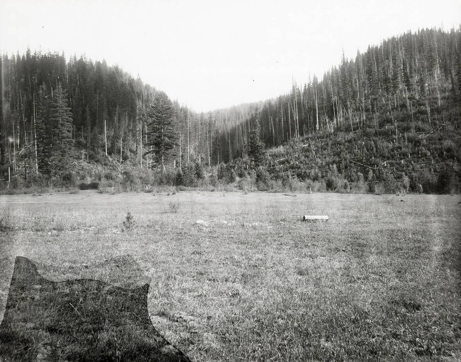 View of Fancy Gulch, which is located on the north side of the Coeur d'Alene Mining District. Trees can be seen in the distance.
