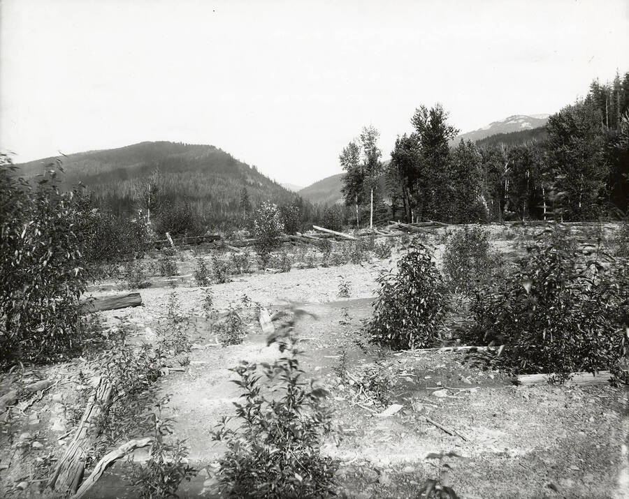 View of Eagle Creek, which is located on the north side of the Coeur d'Alene Mining District. The picture was taken from the mouth of Fancy Gulch.