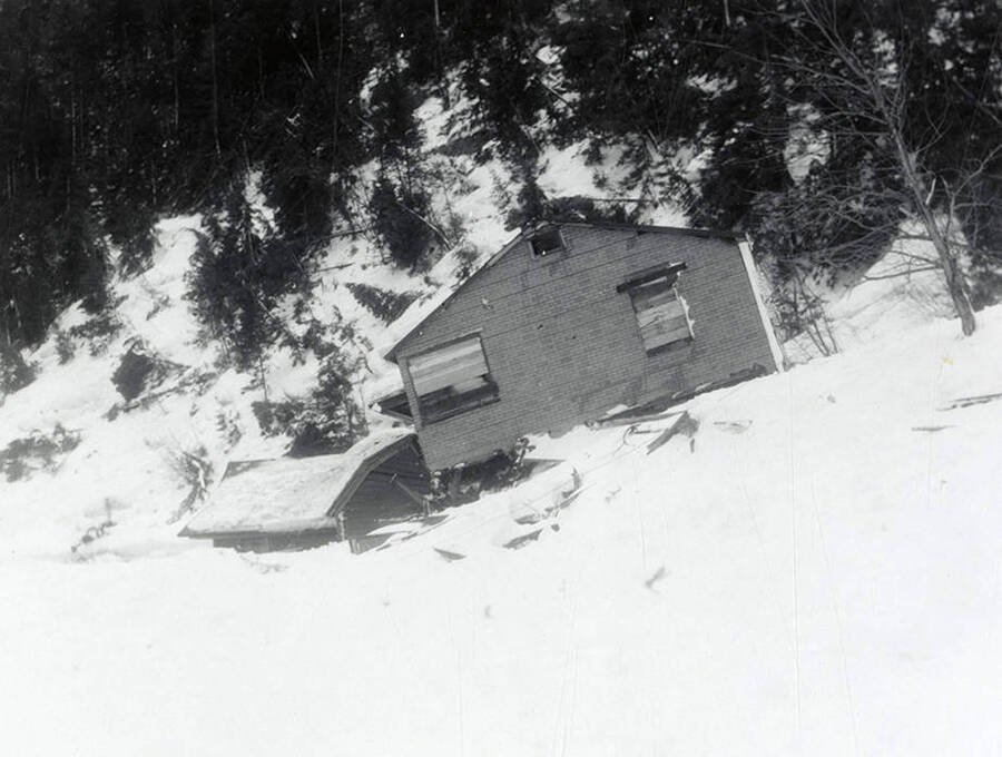 The snow slide that happened near Burke, Idaho on the Wallace side. A few houses can be seen covered in snow.