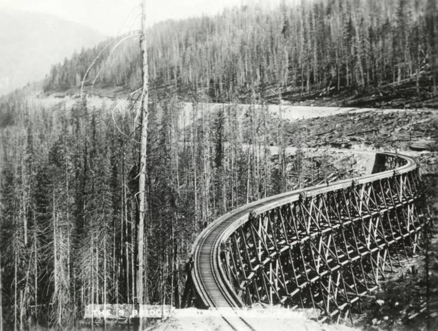 View of the S Bridge Trestle above Mullan, Idaho. Written on the bottom: "The S Bridge, Coeur d'Alene Cut-Off." A portion of this trestle was wiped out by a massive snow slide in 1903.