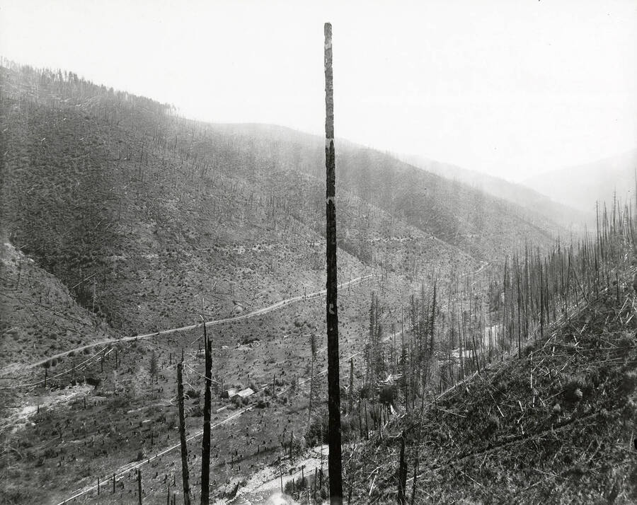 The pipeline from Littlefield to Pine, located on the north side of the Coeur d'Alene Mining District.