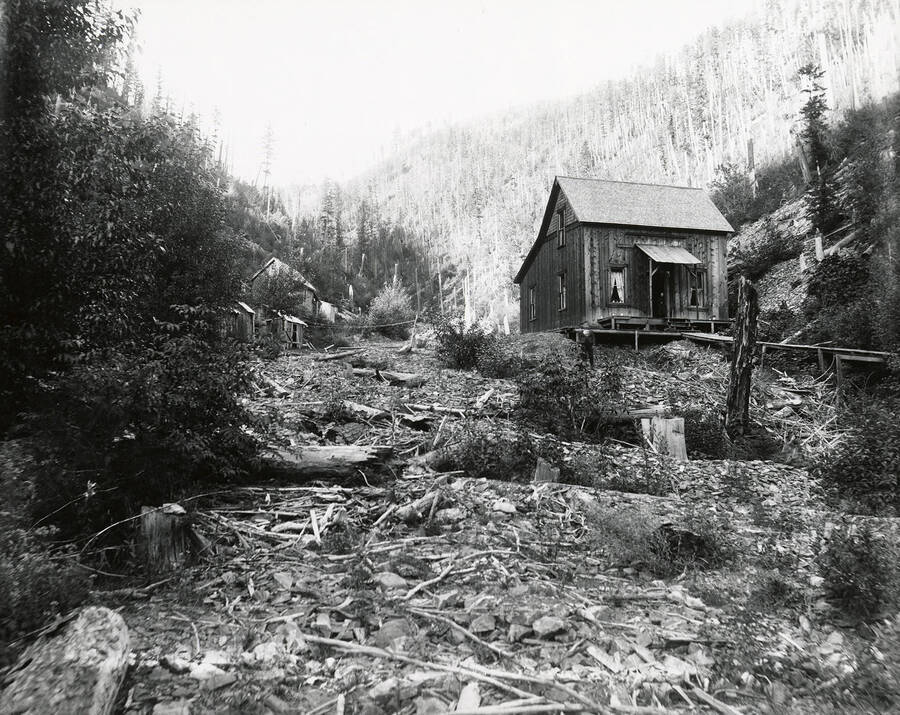 View of Wesp Gulch, located southeast of the town of Murray. Small buildings can be seen amongst the trees and a boy can be seen standing outside one of the buildings.