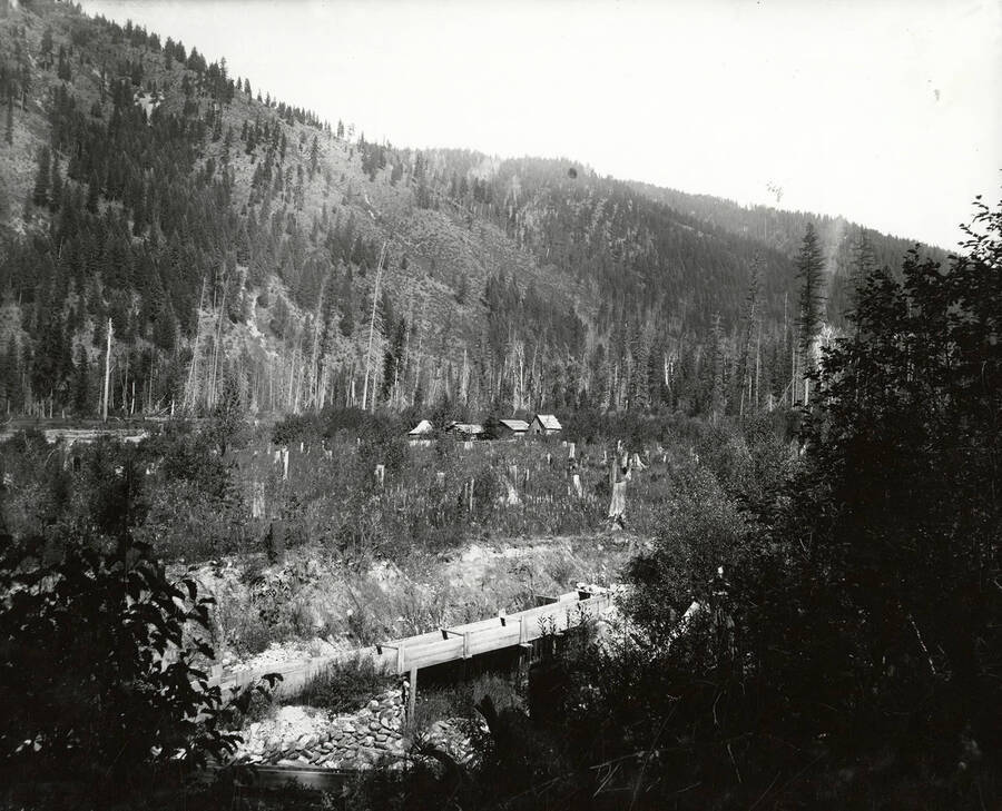 View of Scott's placer claims, near North Fork by the Coeur d'Alene Mining District.