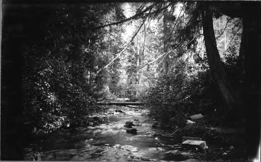 Image shows Placer Creek, located Southwest of Wallace, Idaho.