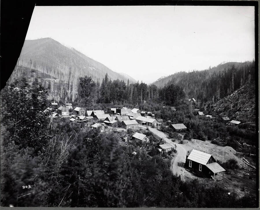 Far view of a town surrounded by burnt trees