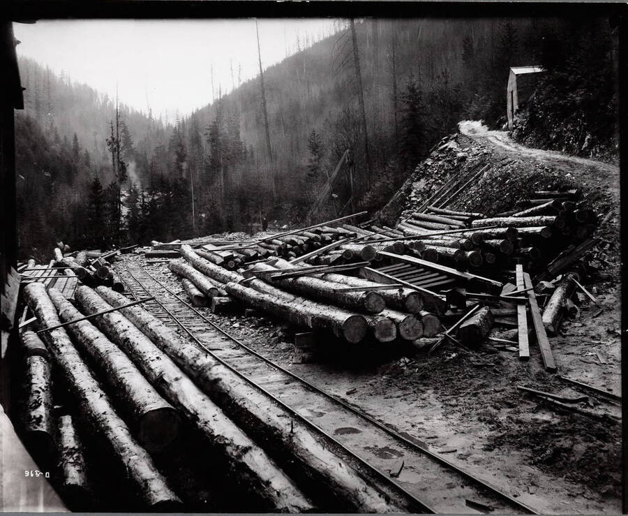 Logs lined up next to a train track