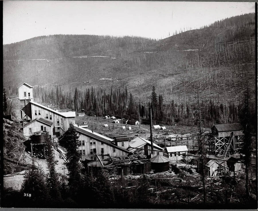 Far view of mill surrounded by burnt trees