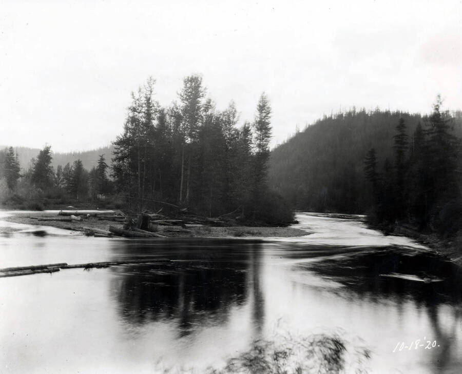 Images shows the river surrounding an island with trees. The image was taken at Linfor October 18, 1920 for T. Towles.