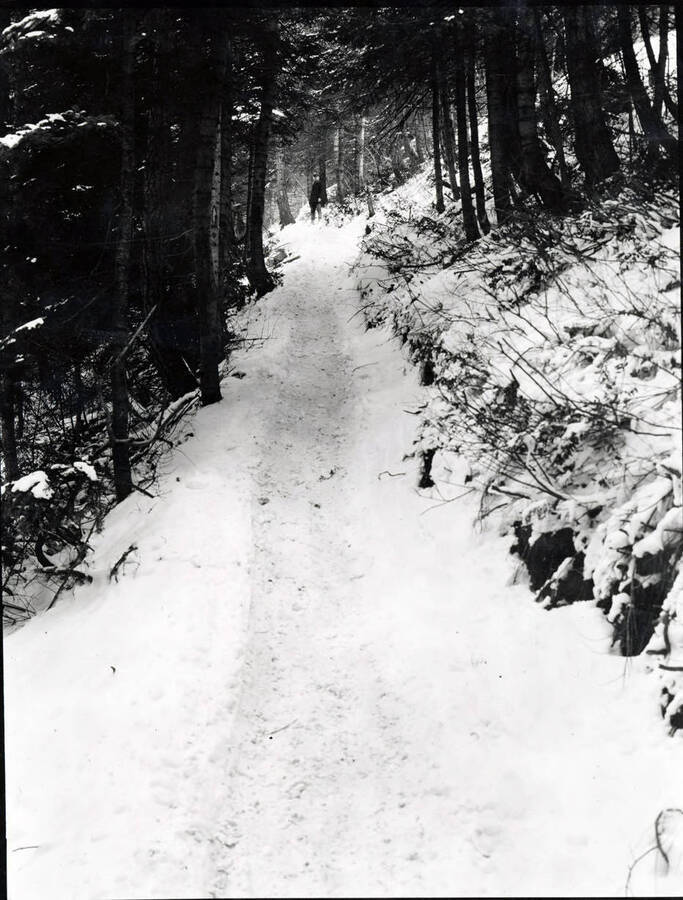 Man stands at the end of a snow covered path.