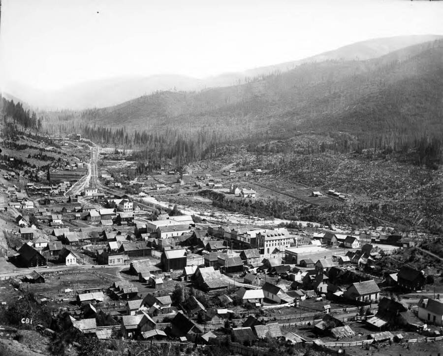 Distant view of  Mullan, Idaho in 1901. Image shows downed trees in the background and a distant view of a mine or mill.