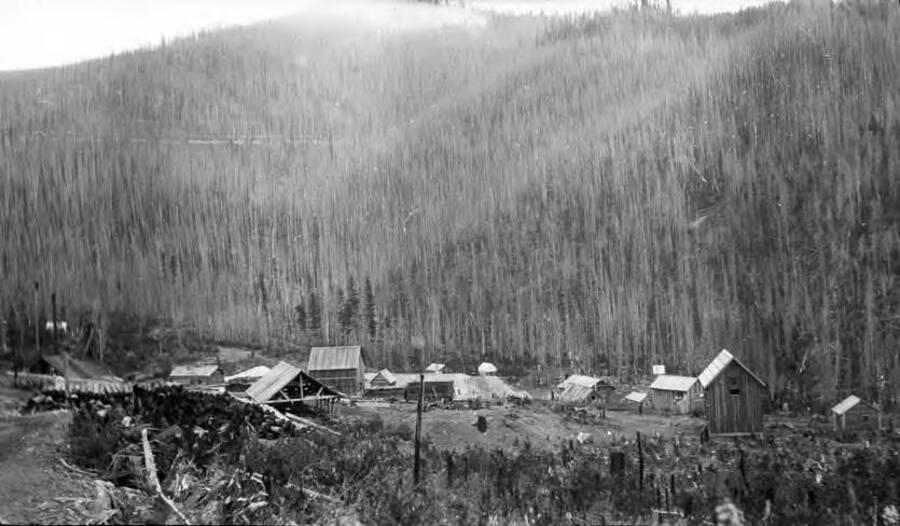 Far view of the mining company with burnt trees surrounding it
