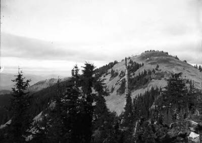 Custer peak in Burke, Idaho. A forested mountain can be seen with clouds in the distance.