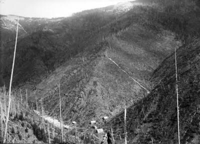 A far view of a town with burnt trees surrounding it.