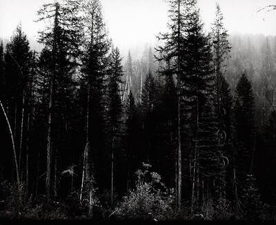 Note on back: Tarbox Mining Co 1906. Water, Power and Timber