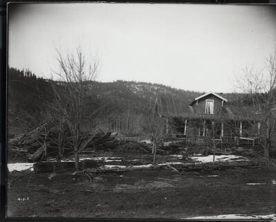 Damaged Williams house located below Cataldo, Idaho, March 15, 1918.