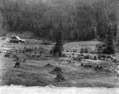 Taken for T. Towles up Nine Mile Canyon near the cemetery.