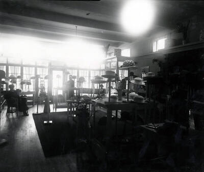 Interior view of The Model Shop.