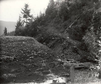 A man standing amongst some dirt and trees on the Hercules Mining Company in Burke, Idaho. Taken for Mr. Day for a lawsuit.