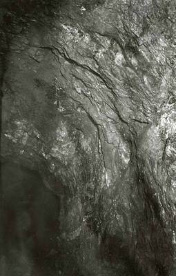 Underground view of Parrot Lease.