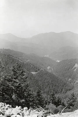 The view of mountains and trees seen from Parrot Lease.