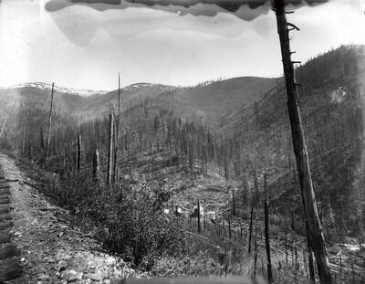 View of an unidentified mine surrounded by trees.