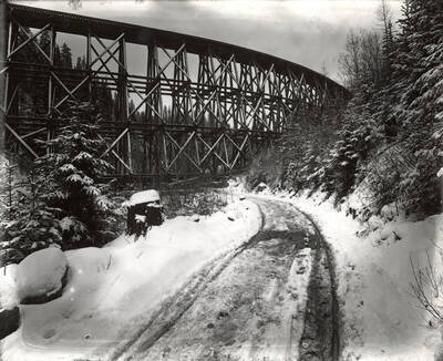 Railroad trestle over the road to Success. Taken for H.F. Samuels.