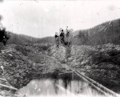 View of placer ground around a creek.