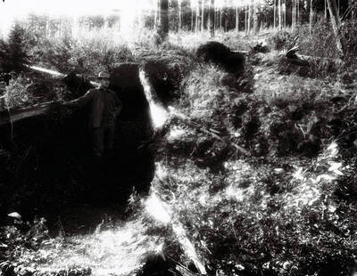 Image of a man standing by a hole in the hillside. Caption on front: "Marsh Mining Company staking the claim."