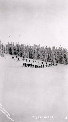 The Aurora Ski Club and Wallace Men skiing at Tiger Ridge.
