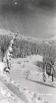 The Aurora Ski Club and Wallace Men skiing at Tiger Ridge.