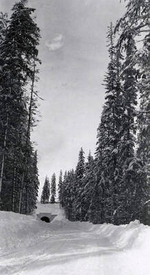 The Fourth of July Canyon covered in snow.