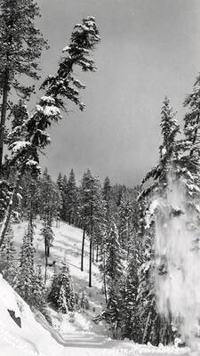 The Fourth of July Canyon covered in snow.