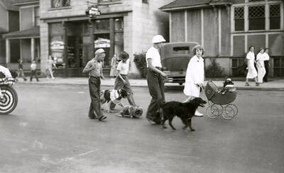 Three boys walking their dogs and a girl pushing her pet in a stroller at the Veterans pet parade in Wallace, Idaho.