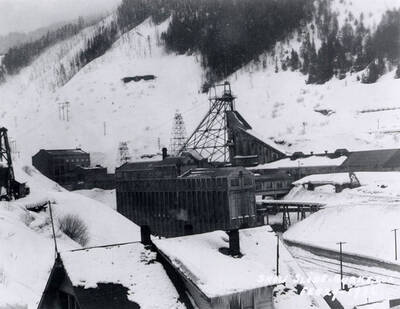 View of the snow slide in Burke, Idaho. Buildings and trees are covered in snow.